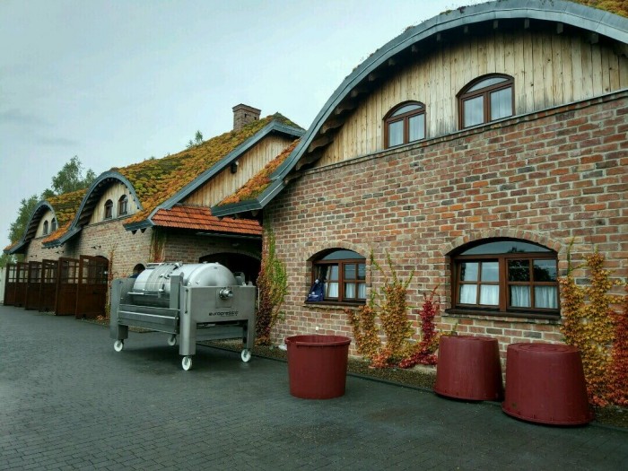 Winnica Pańska Góra Winnica Pańska Góra