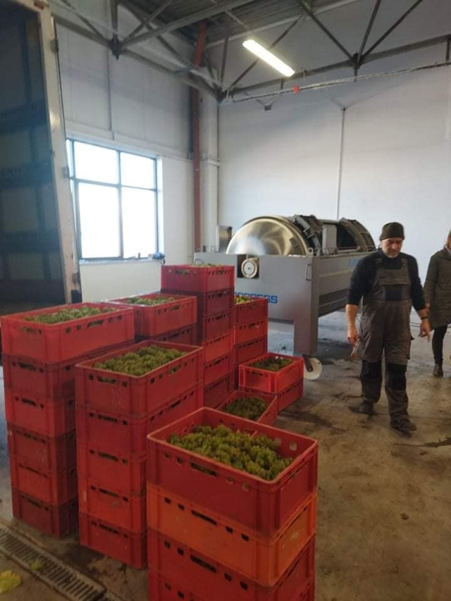 Uruchomienie maszyn w nowo powstałej winnicy w Zawierciu Uruchomienie maszyn w nowo powstałej winnicy w Zawierciu