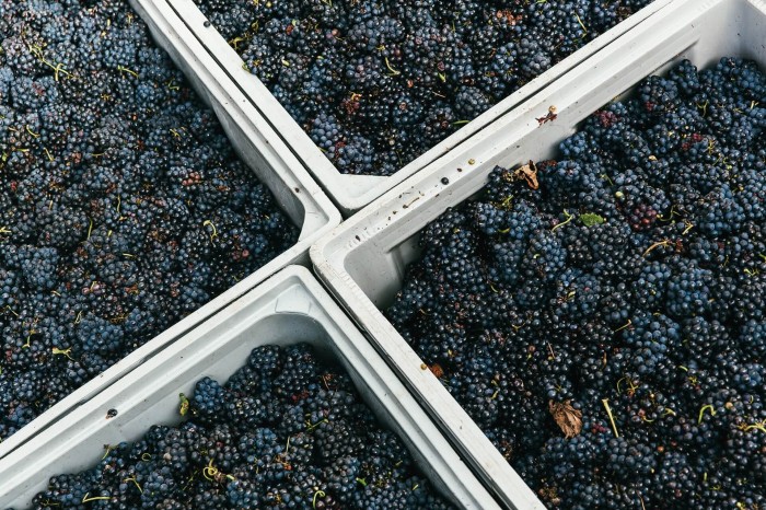 Winiarnie z naszym sprzętem Winiarnie z naszym sprzętem