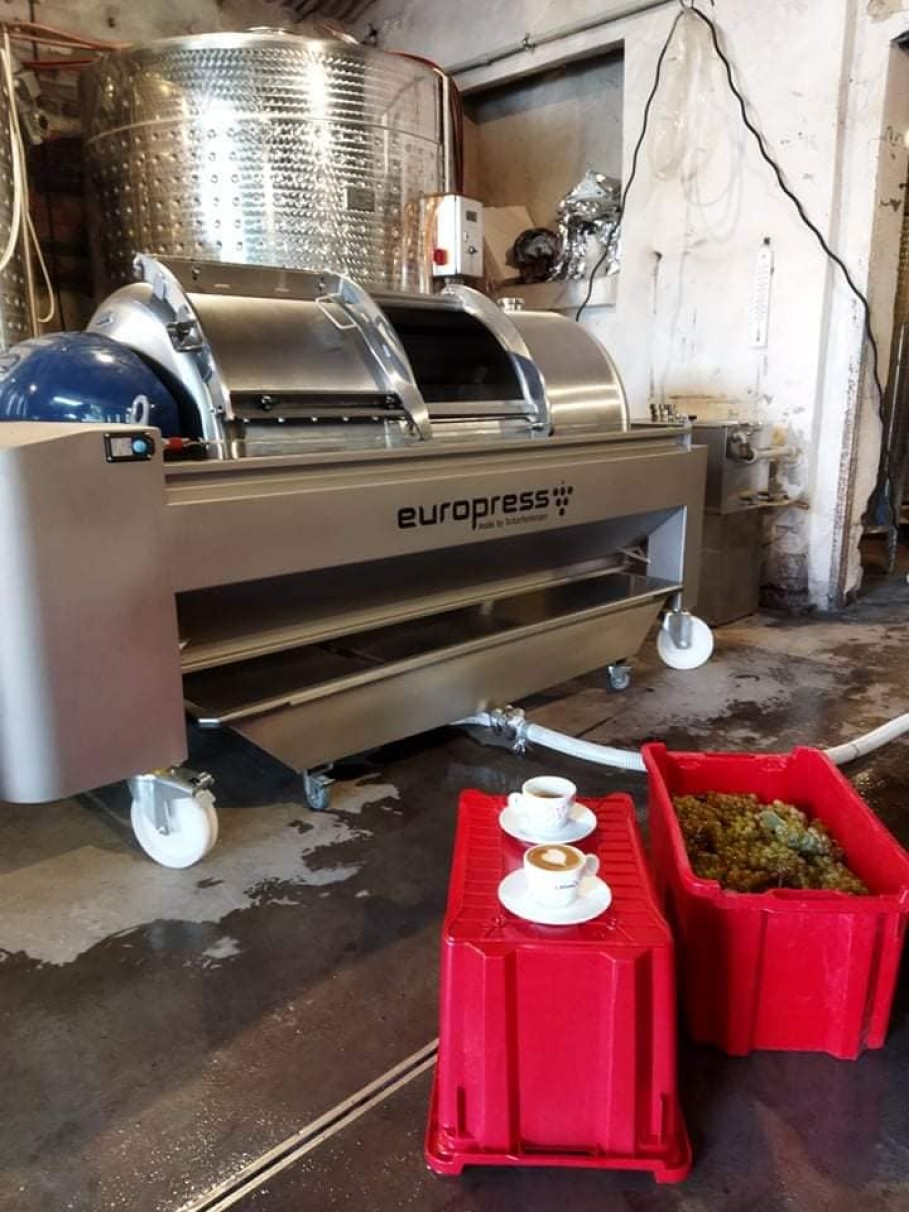 Szkolenie i pierwsze tłoczenie na winnicy Reserva Szkolenie i pierwsze tłoczenie na winnicy Reserva