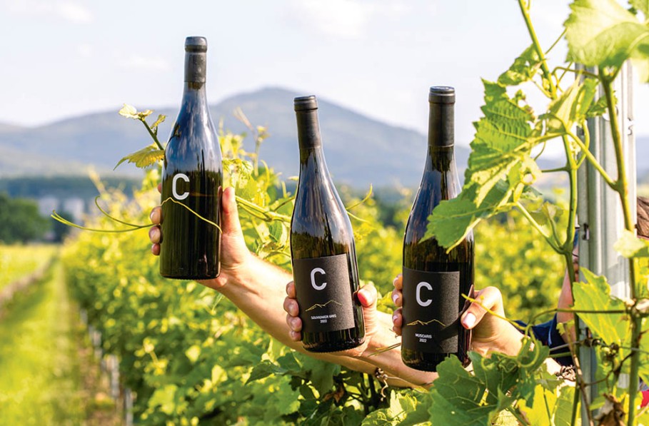 Film z naszego największego projektu winiarskiego w Polsce - Winnica Dom Charbielin Film z naszego największego projektu winiarskiego w Polsce - Winnica Dom Charbielin